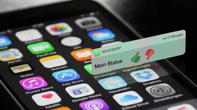 Cara Mengatasi Fitur Musik di Status WhatsApp yang Tidak Muncul, Lakukan 5 Langkah Ini