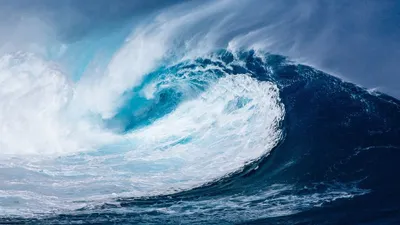 Kalaksa BPBD Papua Barat Keluarkan Peringatan Tsunami Imbas Gempa Dahsyat Rusia