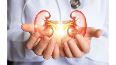Resep Herbal ala dr Zaidul Akbar untuk Obati Gagal Ginjal Tanpa Harus Cuci Darah, Ternyata Pakai Bahan Alami Ini