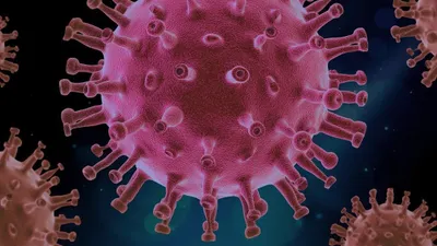 Heboh Virus HMPV, Menkes Imbau Masyarakat Tak Perlu Panik: Virus Lawas