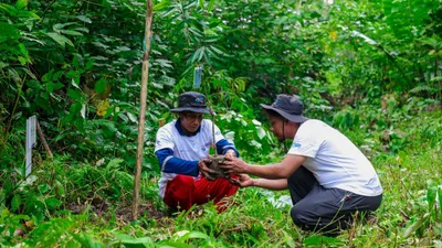 BRI Menanam Berhasil Reboisasi Lahan Kritis Berau dan Tingkatkan Ekonomi
