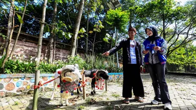 BRI Peduli Kuatkan Peternak Domba Garut Sambut Idul Adha di Desa Sukalaksana