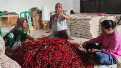 BRI Perkuat Rantai Pasok Pangan Bergizi Nasional Lewat Pembiayaan kepada Koperasi Penyuplai Bahan Pangan MBG