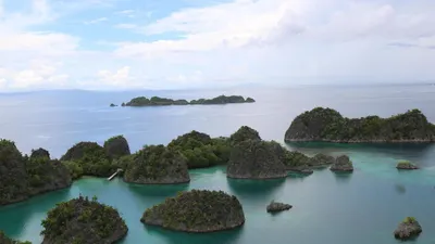 Dari lima izin usaha pertambangan yang terdata oleh Kementerian ESDM, Bahlil memastikan bahwa hanya satu perusahaan yang beroperasi di kawasan tersebut, yaitu PT GAG Nikel yang merupakan anak perusahaan dari PT Antam (BUMN).
