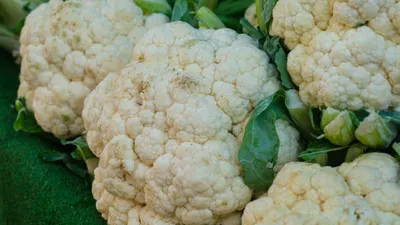 Illustrasi. ada beberapa sayur yang dianggap sehat ternyata bisa berbahaya bagi kesehatan.