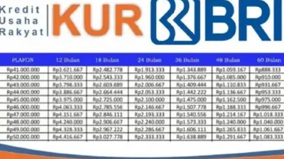 Nasabah Mengeluh KUR Mikro BRI 2025 Sudah Tidak Bisa Diajukan, Berikut Alternatif Pinjaman BRI untuk UMKM
