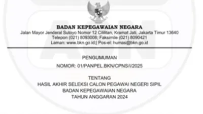 Penting, Ini Arti Kode 'P,L, U1,U3, E1, E2, E3 Dan TMS' di Hasil Seleksi Tes CPNS 2024, Awas Keliru