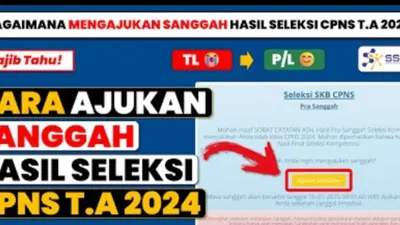 Pengumuman CPNS 2024: Bisa Lakukan Masa Sanggah di Periode Berikut Ya