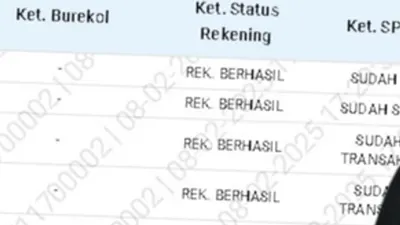 Status di Aplikasi SIKS-NG Sudah Terlihat SI, Pastikan KPM Bansos PKH dan BPNT Melakukan Hal ini Agar Tidak Menyesal!