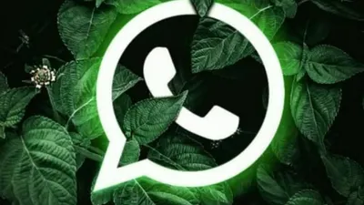 Awas dibobol Rekening! Penipuan di WhatsApp Makin Marak, Kenali Modus Terbaru serta Ciri-ciri WA Kamu Disadap