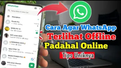 Cara Mengaktifkan Fitur Offline WhatsApp agar Bebas Gangguan Tanpa Harus Mematikan Sambungan Data Jaringan, Efektif!