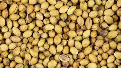 Mudah Ditemukan di Dapur! 4Jenis Bahan yang Bisa Bikin Pembuluh Darah Lancar Meluncur