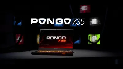 Axioo Pongo 735.