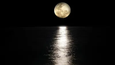 Penting! Ini Deretan Ciri-ciri Malam Lailatul Qadar Lengkap dengan Keistimewaannya