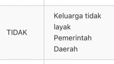 Khawatir Status KPM PKH dan BPNT Terhapus karena Belum Dikunjungi Petugas Ground Checking DTSEN? Ini Solusinya!