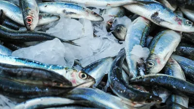 Bisa Didapat dari Makanan! 5 Vitamin untuk Memperbaiki Saraf Rusak: Bantu Regenerasi Alami