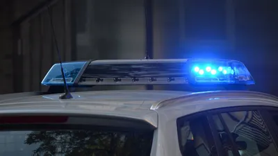 Diburu Tim Khusus, Penasehat Ahli Kapolri Ungkap Cara Meringkus Dalang Paket Babi dan Tikus