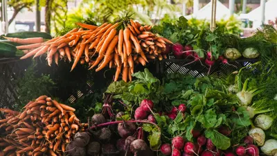 Ilustrasi jenis sayur berbahaya bagi penderita diabetes.
