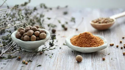 Bukan Cuma Harum, Oregano Punya 10 Manfaat dan Khasiat bagi Kesehatan, Bisa Meredakan Peradangan!