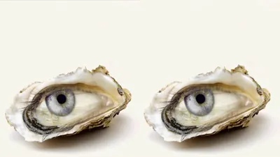 Tes Kepribadian: Lihat Mata atau Kerang? Gambar yang Kamu Lihat Pertama Kali Mengungkap Apa yang Akan Terjadi di Masa Depan