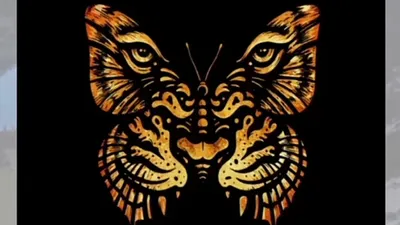 Tes Kepribadian: Kamu Lihat Kupu-kupu atau Harimau?
