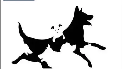 Tes Kepribadian: Seberapa Dewasa Pemikiranmu? Ungkap dengan Jawab Berapa Jumlah Anjing di Gambar Ini!