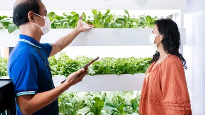 3 Peluang Bisnis di Desa Bisa Untung Rp30 Juta Perbulan, Minim Kompetitor dan Potensinya Menjanjikan