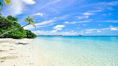 Psikologi Kepribadian Seseorang yang Suka Pantai dan Gunung, Benarkah Salah Satunya Romantis?