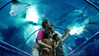 Sea World Ancol