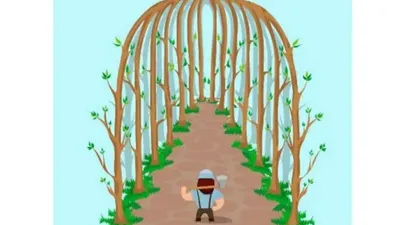 Ilustrasi tes kepribadian mengungkap perlu atau tidaknya mengubah hidup
