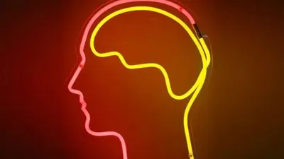 Ada 11 Ciri Orang Memiliki IQ Tinggi dengan Kecerdasan Di Atas Rata- Rata, Nomor 1 Bikin Kamu Kaget, Ternyata