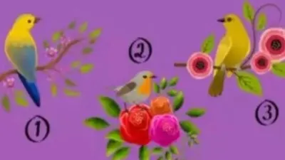 Tes Psikologi: Burung mana yang Kamu Suka? Pilihanmu akan Ungkap Cara dalam Mengatasi Masalah
