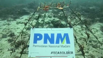 Dalam rangka memperingati Hari Sumpah Pemuda, PT Permodalan Nasional Madani (PNM) melalui cabangnya di Ambon berkolaborasi dengan generasi muda untuk melakukan konservasi terumbu karang.