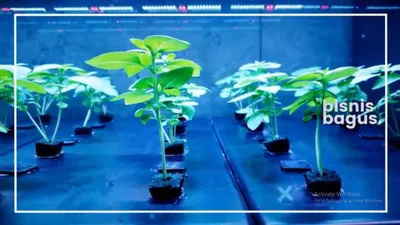 Unik dan Belum Pernah Ada, Ini 5 Ide Usaha Kreatif yang Banyak Diminati tapi Jarang di Indonesia