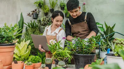 5 Prospek Kerja Lulusan Jurusan Kuliah Pertanian dan Peternakan, Pekerjaan yang Relate dengan Gen Z!