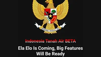 Ela Elo, Medsos Pemerintah Pengganti X