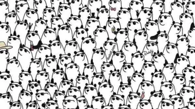 Tes Penglihatan: Percaya Diri dengan Kemampuan Visualmu? Coba Temukan 3 Panda&nbsp;yang Tak Pakai Kacamata