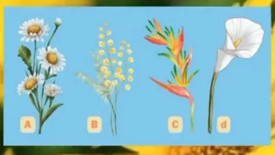 Tes Kepribadian: Bunga Mana yang paling Disuka? Pilihanmu Menunjukkan Tipe Orang Seperti apa Dirimu