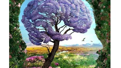 Illustrasi Tes Kepribadian