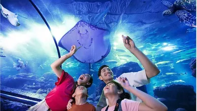 Rekomendasi Tempat Liburan Sekolah Terbaik Bersama Keluarga