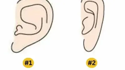 Secara Psikologi, Ternyata Bentuk Telinga Besar dan Kecil Dapat Mengungkap Kepribadian Asli Seseorang, Seperti Apa Tipe Bentuk Telingamu?