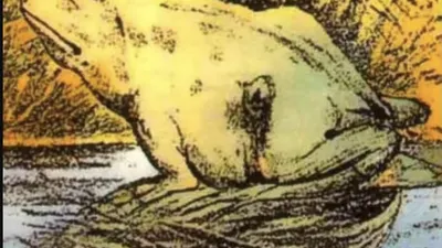 Tes Kepribadian: Katak atau Kuda? Ungkap Karaktermu Pemalu atau Perhatian di Sini!