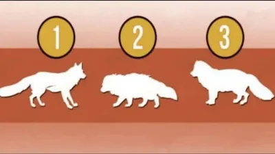 Tes Kepribadian: Hewan Mana yang Menurut Kamu Paling Kuat? Ungkap Cara Berpikirmu Lewat Tes Ini!