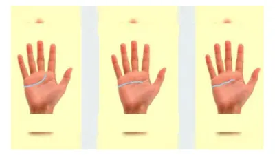 Tes kepribadian lewat garis tangan