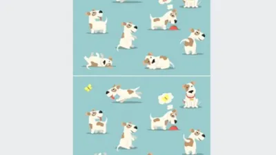 Boleh ngaku punya IQ tinggi bila menemukan 4 perbedaan pada anjing dalam gambar ini