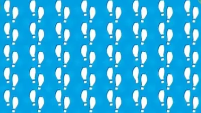Tes IQ: Kurang Fokus Belakangan Ini? Coba Temukan Jejak Kaki Aneh di Gambar, Waktumu 7 Detik!