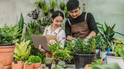 Ilustrasi 7 ide usaha yang cocok di desa menguntungkan dan bisa kaya raya