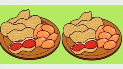 Tes Penglihatan dalam Meningkatkan IQ: Temukan 3 Perbedaan Pada Kedua Gambar Ini, Cek Ketajaman Mata Kamu