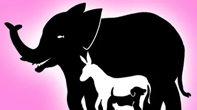 Tes Penglihatan: Tebak Berapa Jumlah Hewan pada Gambar? Gunakan Kejelian dan Daya Imajinasimu, Jawab dalam Waktu 10 Detik!