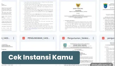 2 Instansi Daerah yang Sudah Umumkan Hasil Masa Sanggah CPNS 2024, Ada Perubahan Status dari TMS ke MS